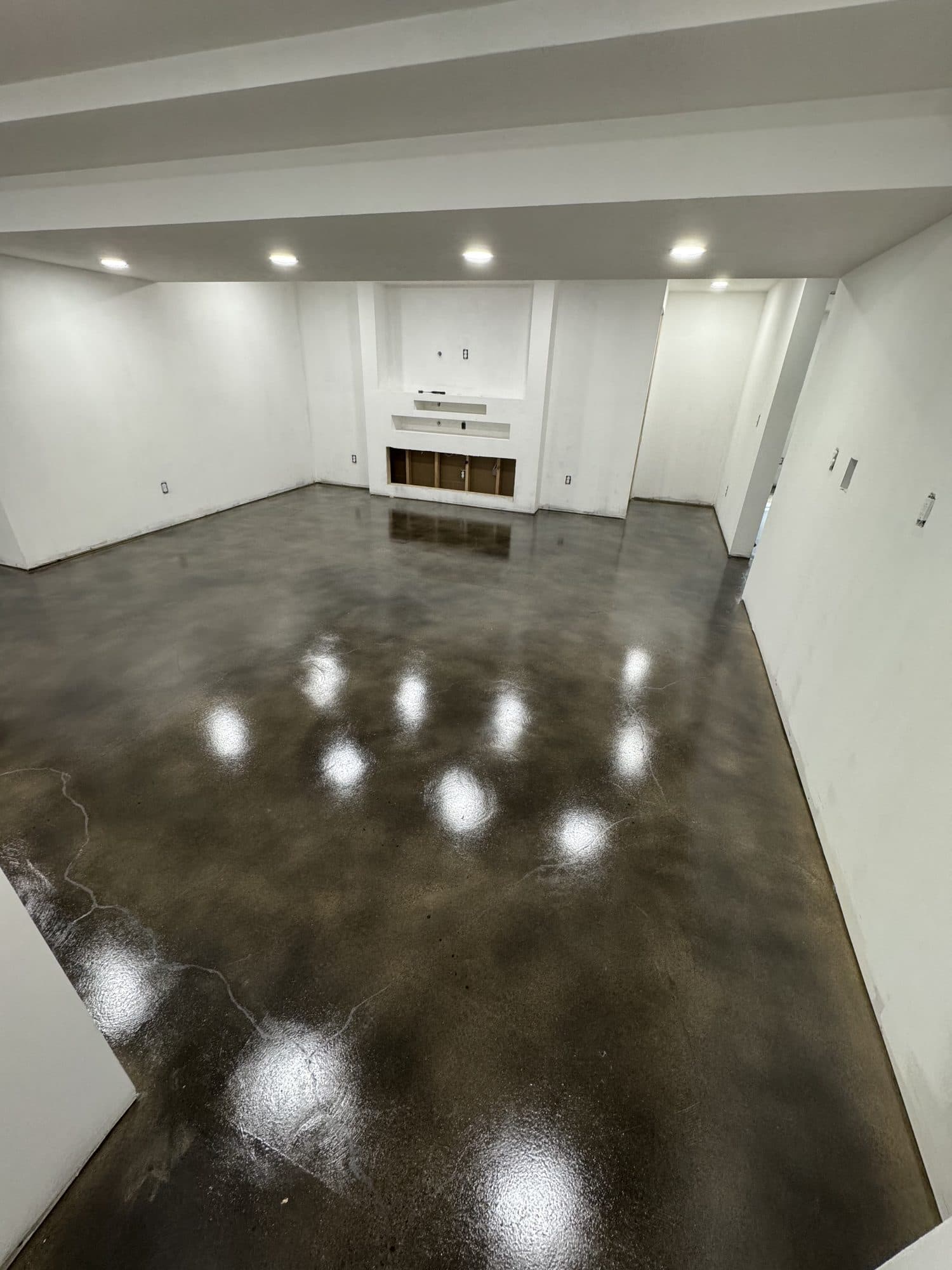 Darin's Stained Grind & Seal Floor in Bloomington, IL